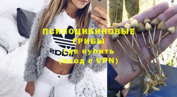 мяу мяу мука Каменка