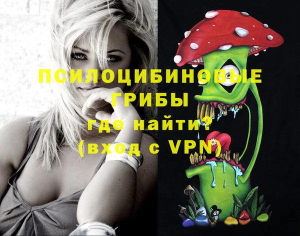ПСИЛОЦИБИНОВЫЕ ГРИБЫ Каменногорск