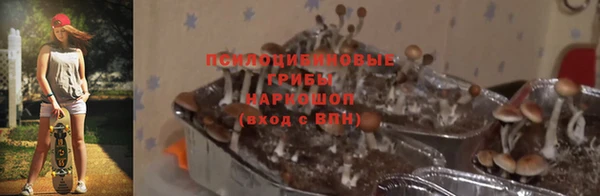 мяу мяу мука Каменка