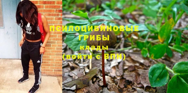 ПСИЛОЦИБИНОВЫЕ ГРИБЫ Каменногорск