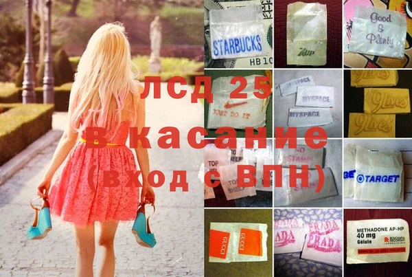 ПСИЛОЦИБИНОВЫЕ ГРИБЫ Каменногорск