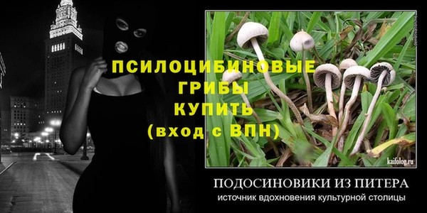 мяу мяу мука Каменка