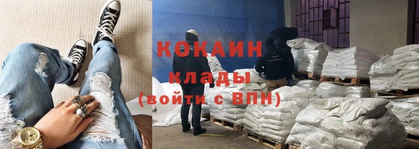 ПСИЛОЦИБИНОВЫЕ ГРИБЫ Каменногорск