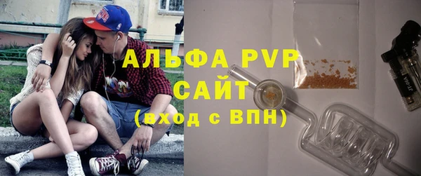 ПСИЛОЦИБИНОВЫЕ ГРИБЫ Каменногорск